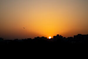 Photo Birds, cityscape